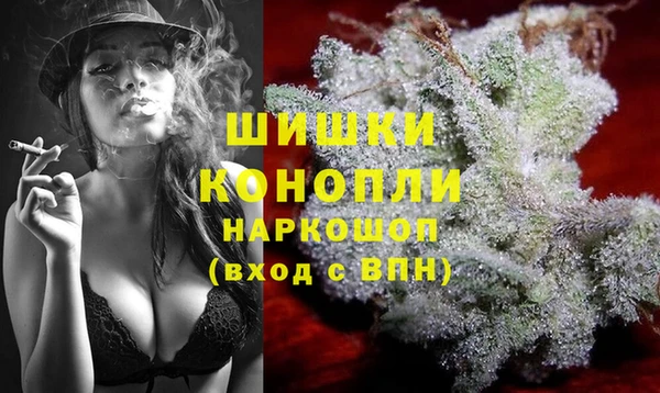 соль ск Ладушкин