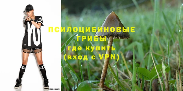 соль ск Ладушкин